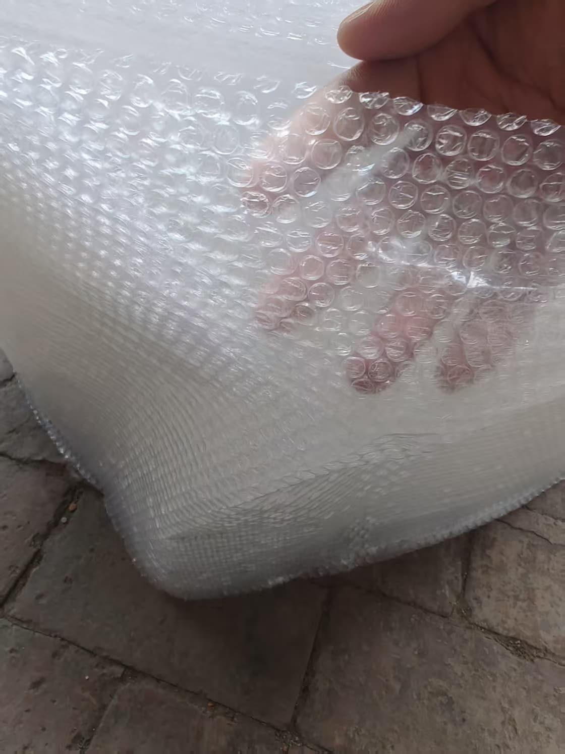 小泡气泡膜 图片 2